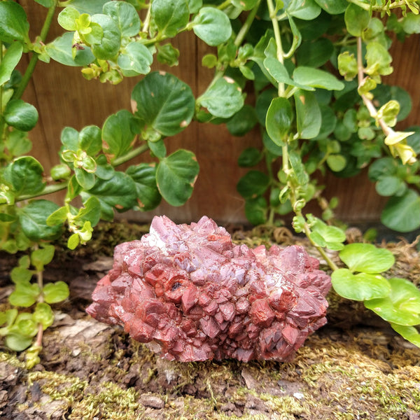 Red Hematite capped Quartz from Morocco
