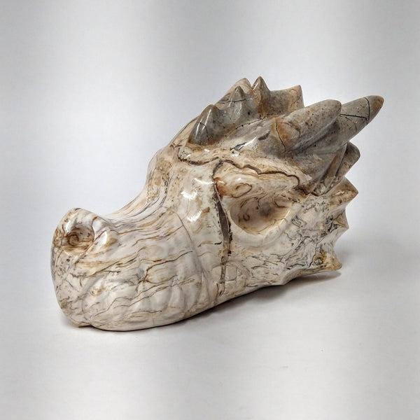 Petrified Wood Dragon Head