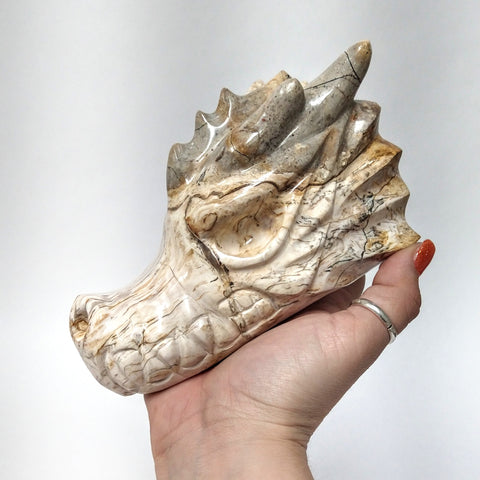 Petrified Wood Dragon Head