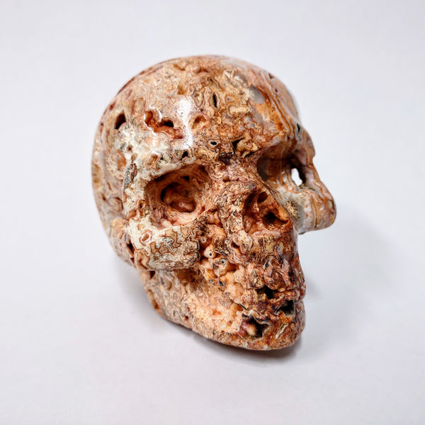 Crazy Lace Agate Skull