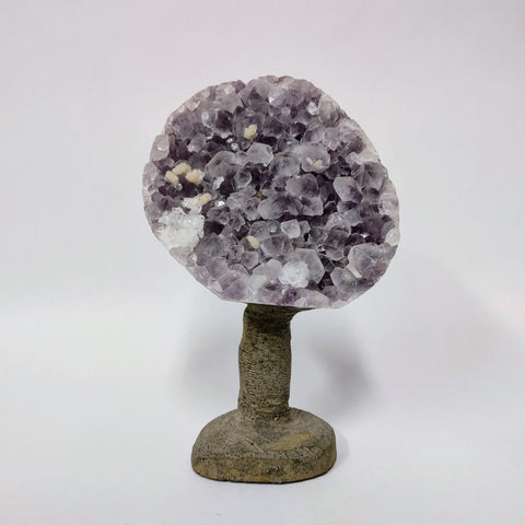 Zeolite on natural matrix stand